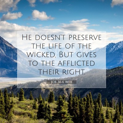 Picture 07 - Job 36:6 WEB - He doesn't preserve the life of the wicked, But - Bible Verse Picture