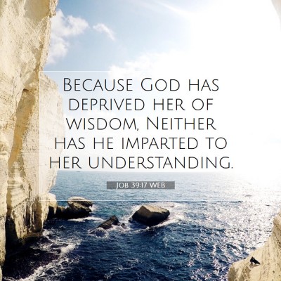 Picture 07 - Job 39:17 WEB - Because God has deprived her of wisdom, Neither - Bible Verse Picture