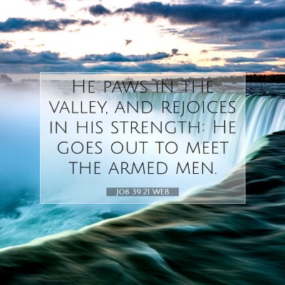 Picture 07 - Job 39:21 WEB - He paws in the valley, and rejoices in his - Bible Verse Picture