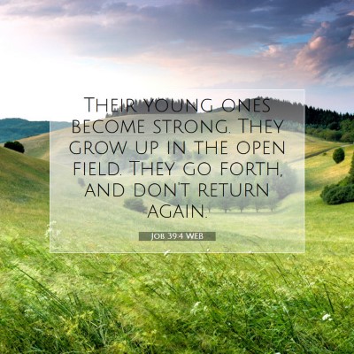 Picture 07 - Job 39:4 WEB - Their young ones become strong. They grow up in - Bible Verse Picture