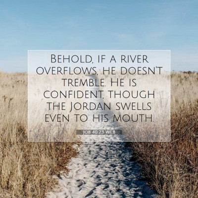 Picture 07 - Job 40:23 WEB - Behold, if a river overflows, he doesn't tremble. - Bible Verse Picture