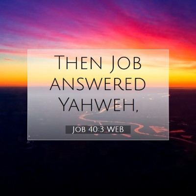 Picture 07 - Job 40:3 WEB - Then Job answered - Bible Verse Picture