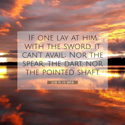 Picture 07 - Job 41:26 WEB - If one lay at him with the sword, it can't avail; - Bible Verse Picture