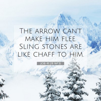 Picture 07 - Job 41:28 WEB - The arrow can't make him flee. Sling stones are - Bible Verse Picture