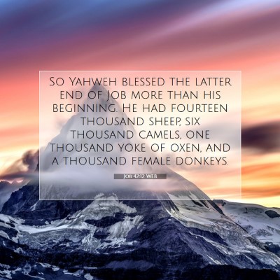 Picture 07 - Job 42:12 WEB - So Yahweh blessed the latter end of Job more than - Bible Verse Picture