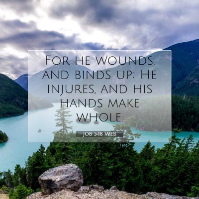 Picture 07 - Job 5:18 WEB - For he wounds, and binds up; He injures, and his - Bible Verse Picture