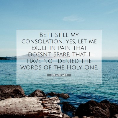 Picture 07 - Job 6:10 WEB - Be it still my consolation, Yes, let me exult in - Bible Verse Picture
