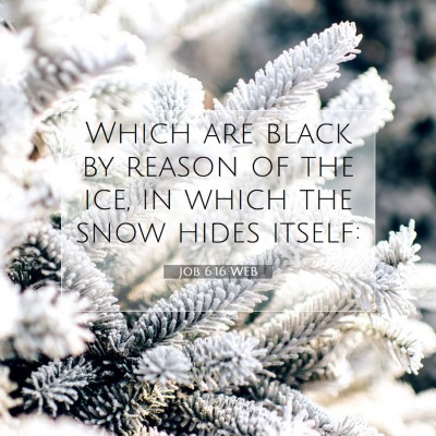 Picture 07 - Job 6:16 WEB - Which are black by reason of the ice, in which - Bible Verse Picture