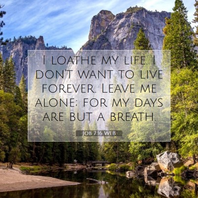 Picture 07 - Job 7:16 WEB - I loathe my life. I don't want to live forever. - Bible Verse Picture