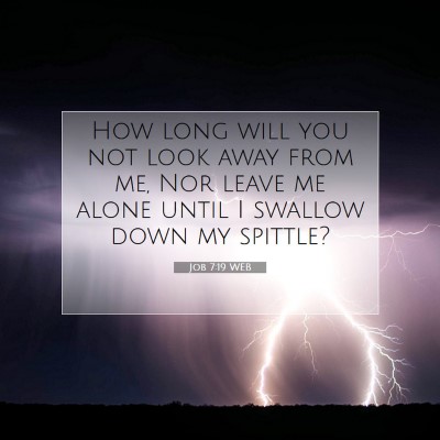 Picture 07 - Job 7:19 WEB - How long will you not look away from me, Nor - Bible Verse Picture