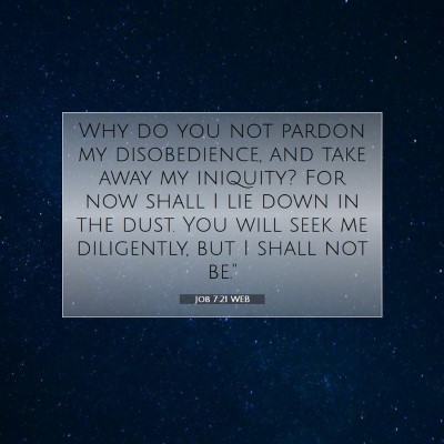 Picture 07 - Job 7:21 WEB - Why do you not pardon my disobedience, and take - Bible Verse Picture