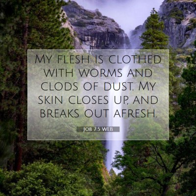 Picture 07 - Job 7:5 WEB - My flesh is clothed with worms and clods of dust. - Bible Verse Picture