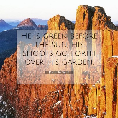 Picture 07 - Job 8:16 WEB - He is green before the sun, His shoots go forth - Bible Verse Picture
