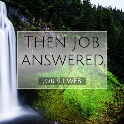 Picture 07 - Job 9:1 WEB - Then Job - Bible Verse Picture