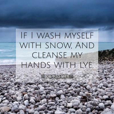 Picture 07 - Job 9:30 WEB - If I wash myself with snow, And cleanse my hands - Bible Verse Picture