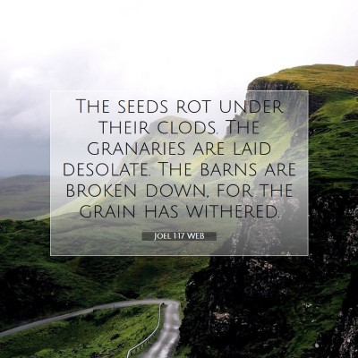 Picture 07 - Joel 1:17 WEB - The seeds rot under their clods. The granaries - Bible Verse Picture