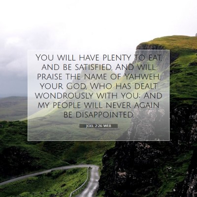 Picture 07 - Joel 2:26 WEB - You will have plenty to eat, and be satisfied, - Bible Verse Picture