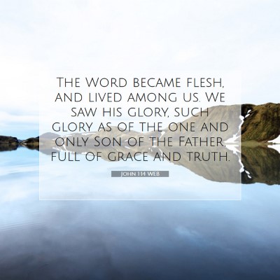 Picture 07 - John 1:14 WEB - The Word became flesh, and lived among us. We saw - Bible Verse Picture