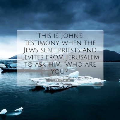 Picture 07 - John 1:19 WEB - This is John's testimony, when the Jews sent - Bible Verse Picture