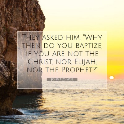 Picture 07 - John 1:25 WEB - They asked him, 