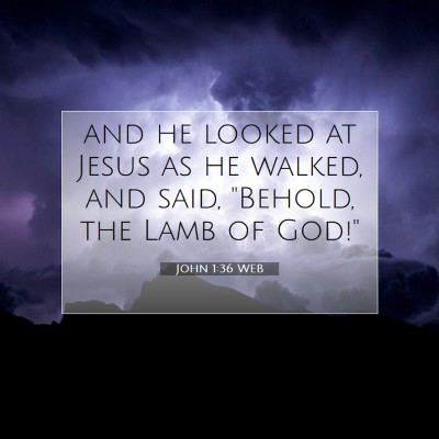Picture 07 - John 1:36 WEB - and he looked at Jesus as he walked, and said, - Bible Verse Picture