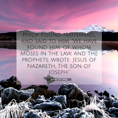 Picture 07 - John 1:45 WEB - Philip found Nathanael, and said to him, 