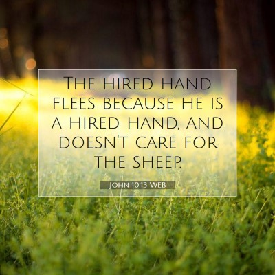 Picture 07 - John 10:13 WEB - The hired hand flees because he is a hired hand, - Bible Verse Picture