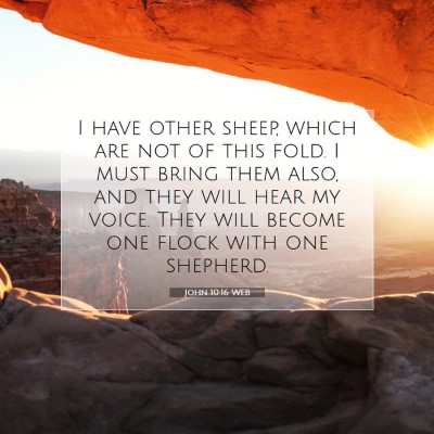 Picture 07 - John 10:16 WEB - I have other sheep, which are not of this fold. I - Bible Verse Picture