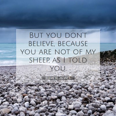 Picture 07 - John 10:26 WEB - But you don't believe, because you are not of my - Bible Verse Picture