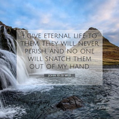 Picture 07 - John 10:28 WEB - I give eternal life to them. They will never - Bible Verse Picture