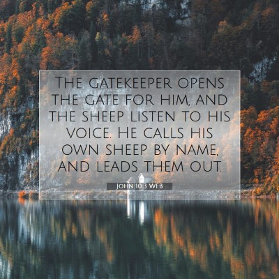 Picture 07 - John 10:3 WEB - The gatekeeper opens the gate for him, and the - Bible Verse Picture