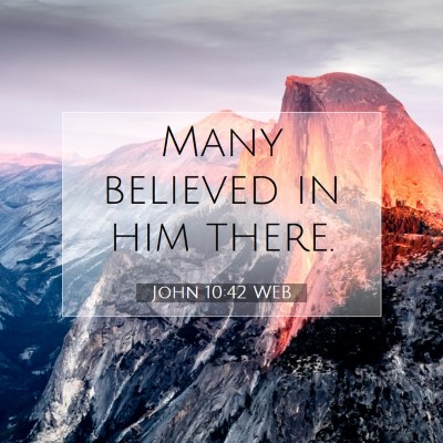 Picture 07 - John 10:42 WEB - Many believed in him - Bible Verse Picture