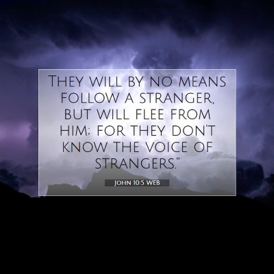 Picture 07 - John 10:5 WEB - They will by no means follow a stranger, but will - Bible Verse Picture