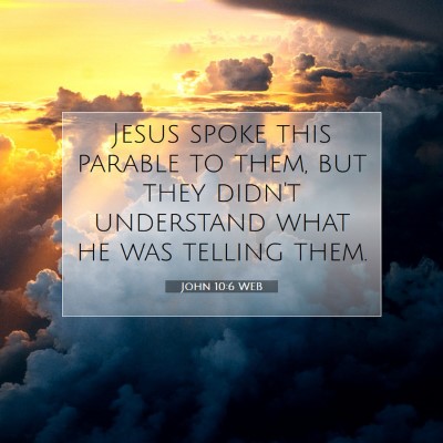 Picture 07 - John 10:6 WEB - Jesus spoke this parable to them, but they didn't - Bible Verse Picture