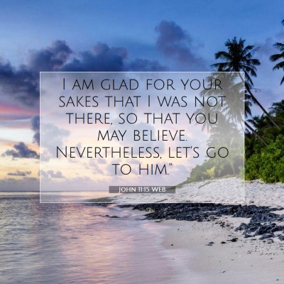 Picture 07 - John 11:15 WEB - I am glad for your sakes that I was not there, so - Bible Verse Picture