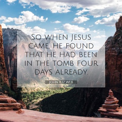 Picture 07 - John 11:17 WEB - So when Jesus came, he found that he had been in - Bible Verse Picture