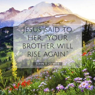Picture 07 - John 11:23 WEB - Jesus said to her, 