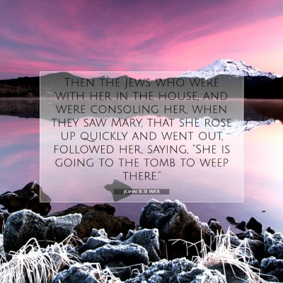 Picture 07 - John 11:31 WEB - Then the Jews who were with her in the house, and - Bible Verse Picture