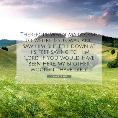Picture 07 - John 11:32 WEB - Therefore when Mary came to where Jesus was, and - Bible Verse Picture