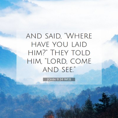 Picture 07 - John 11:34 WEB - and said, 