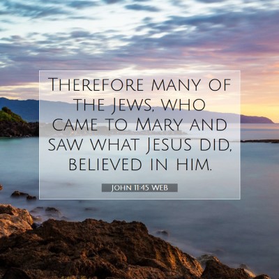 Picture 07 - John 11:45 WEB - Therefore many of the Jews, who came to Mary and - Bible Verse Picture