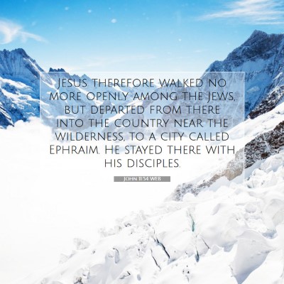 Picture 07 - John 11:54 WEB - Jesus therefore walked no more openly among the - Bible Verse Picture