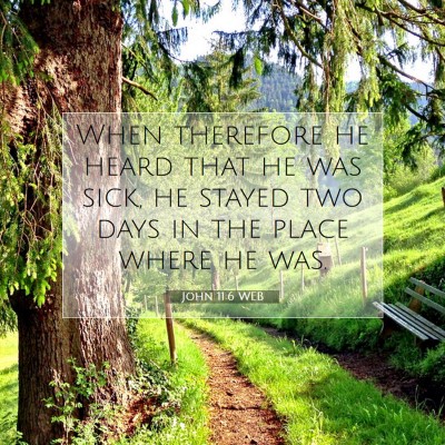 Picture 07 - John 11:6 WEB - When therefore he heard that he was sick, he - Bible Verse Picture