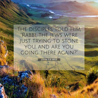 Picture 07 - John 11:8 WEB - The disciples told him, 