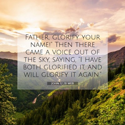 Picture 07 - John 12:28 WEB - Father, glorify your name!