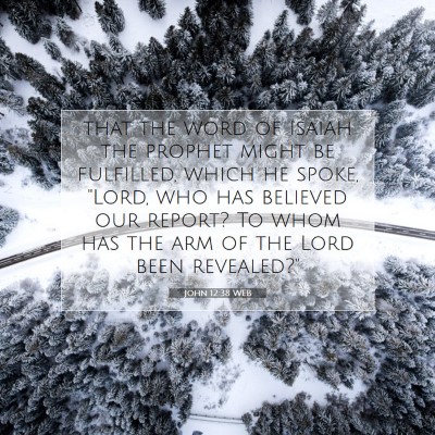 Picture 07 - John 12:38 WEB - that the word of Isaiah the prophet might be - Bible Verse Picture