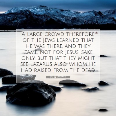 Picture 07 - John 12:9 WEB - A large crowd therefore of the Jews learned that - Bible Verse Picture
