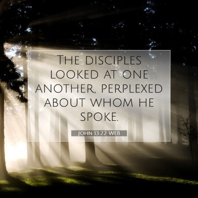 Picture 07 - John 13:22 WEB - The disciples looked at one another, perplexed - Bible Verse Picture