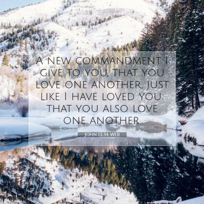 Picture 07 - John 13:34 WEB - A new commandment I give to you, that you love - Bible Verse Picture