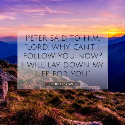 Picture 07 - John 13:37 WEB - Peter said to him, 